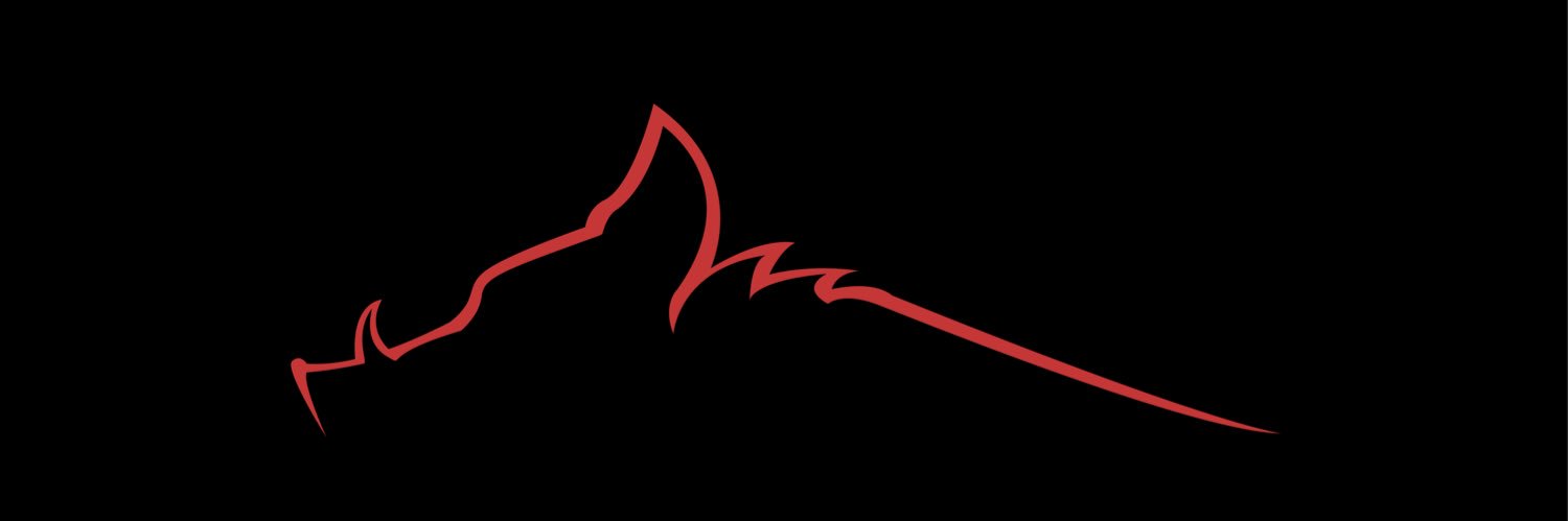 arionopolomano's profile banner image