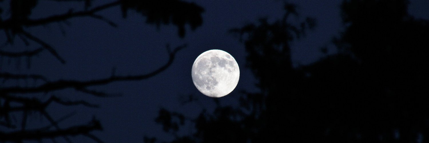 moonisgold's profile banner image