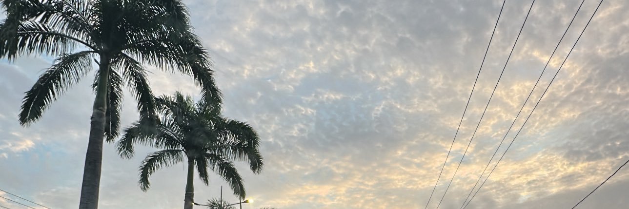 MayCoxA's profile banner image