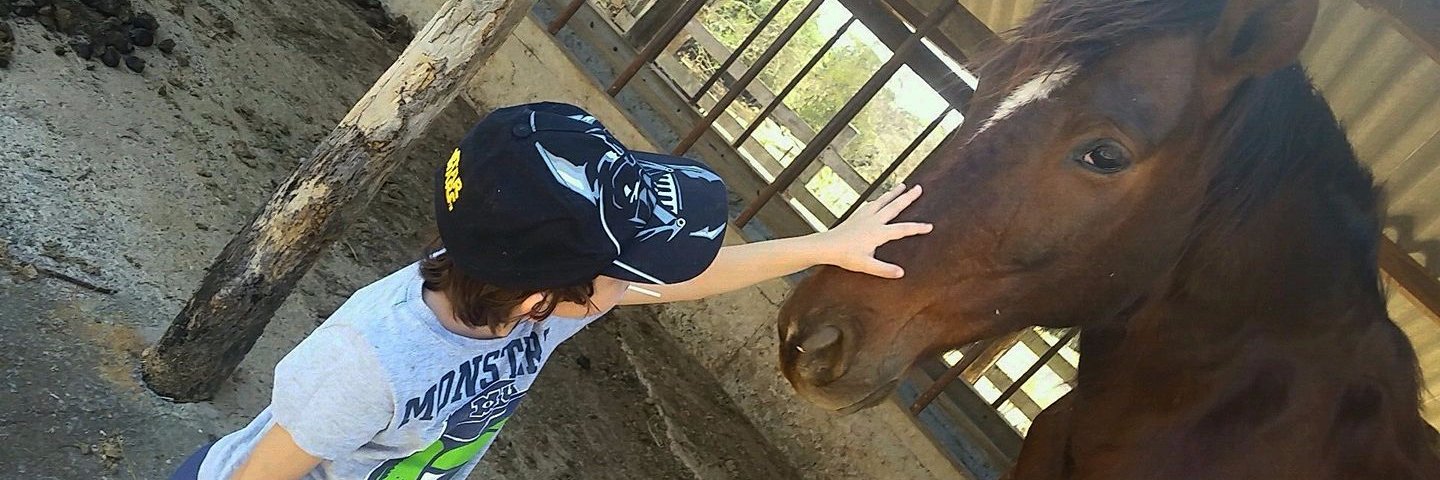 sabineshelly's profile banner image