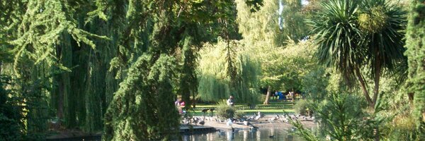 michael_foyle Profile Banner