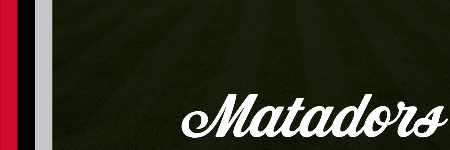 CSUN Baseball banner