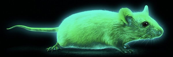 ChristianDitter Profile Banner