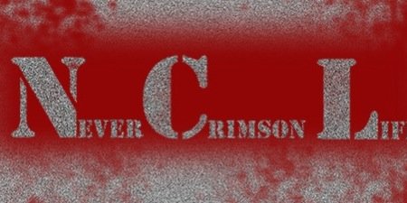 NCL_official's profile banner image