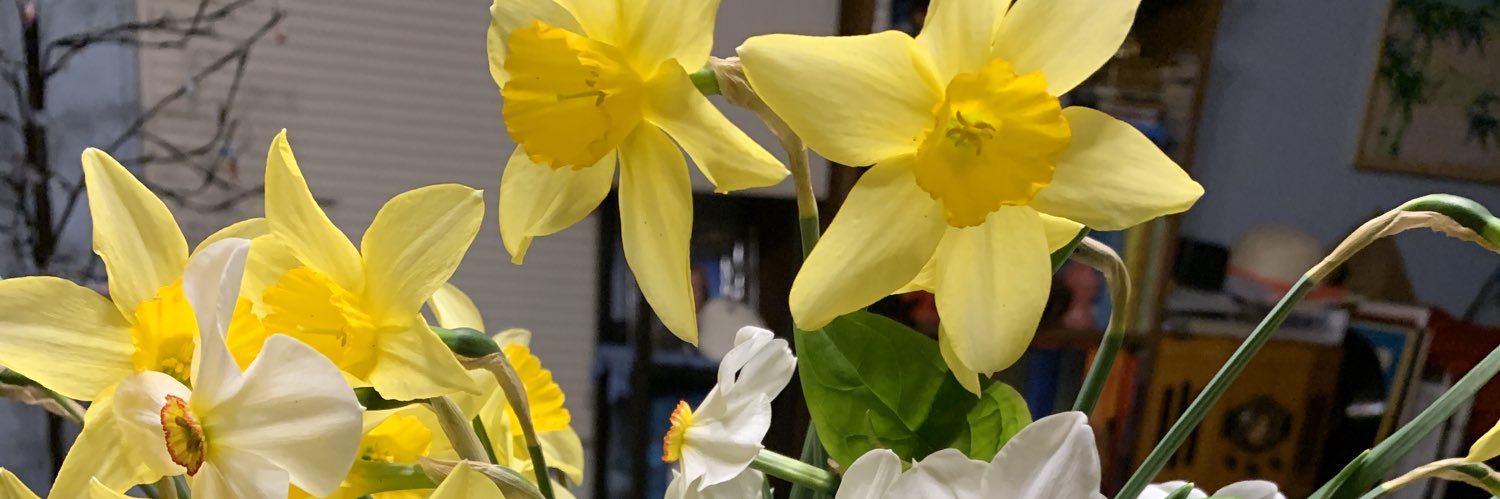TracyStockwell1's profile banner image