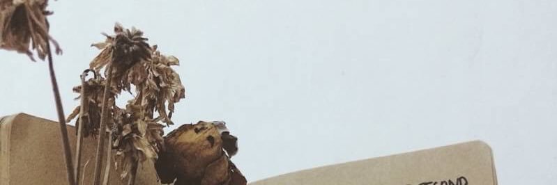 rockykels's profile banner image