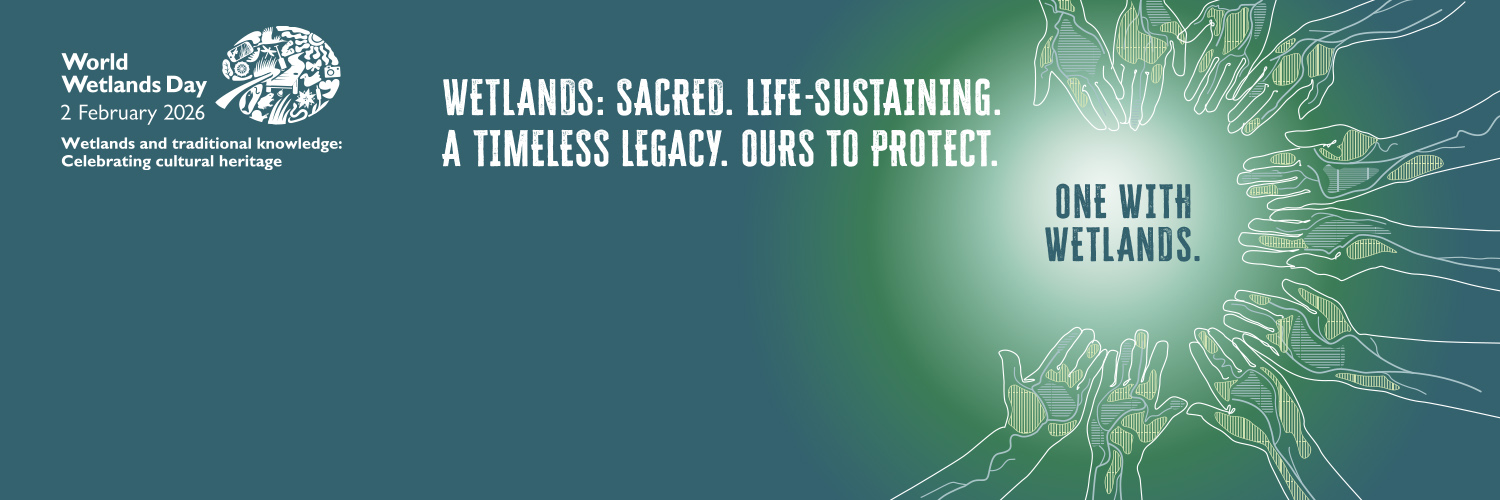 WetlandsIntJ's profile banner image