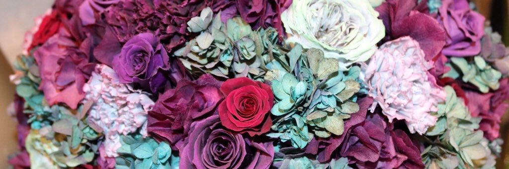 PEEDerella's profile banner image
