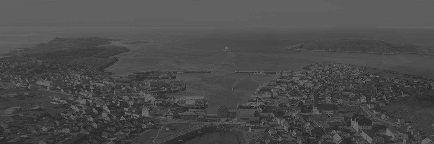 VardoeRestored's profile banner image