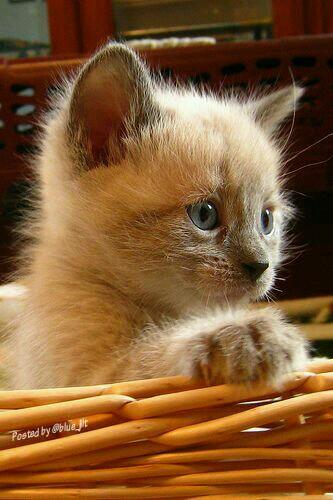 BriJddb's profile banner image