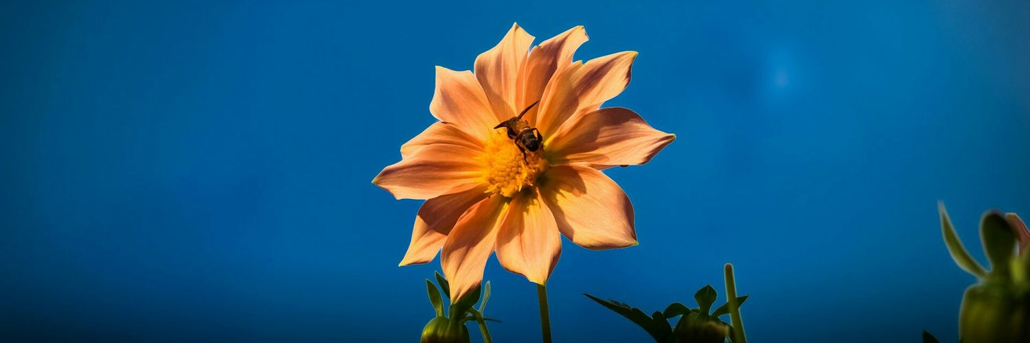 Ganesh6348's profile banner image