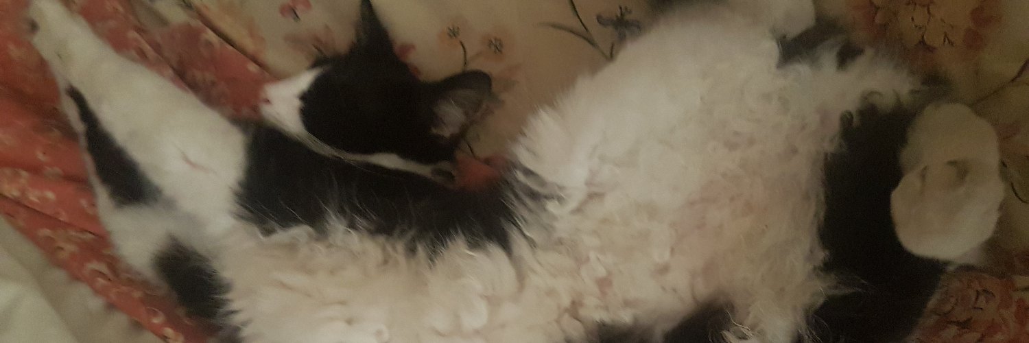 Chris G @FloatyFrocks@tooting.ch 🇪🇺 💙 banner