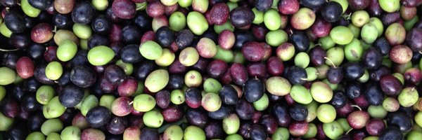 lescallis Profile Banner