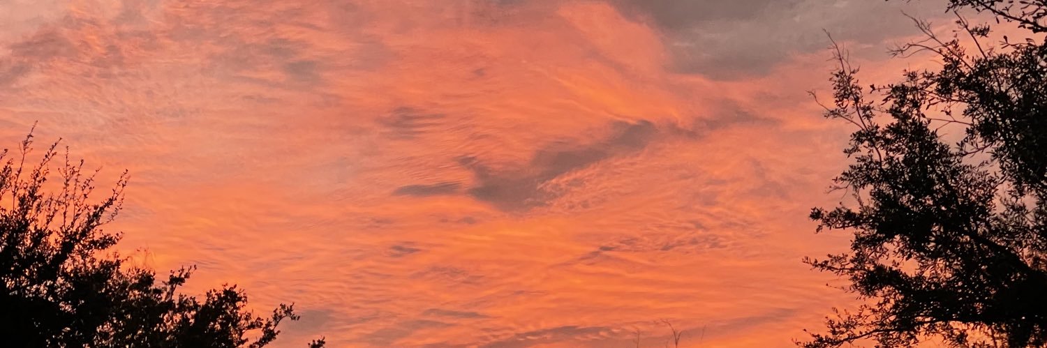 avamcclure_'s profile banner image