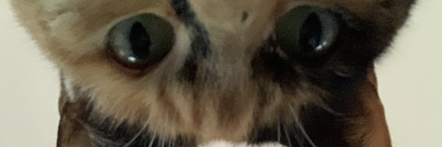 morgkerr's profile banner image