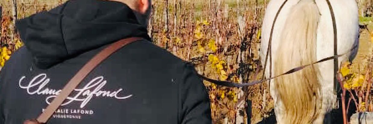 Lafond_Claude's profile banner image