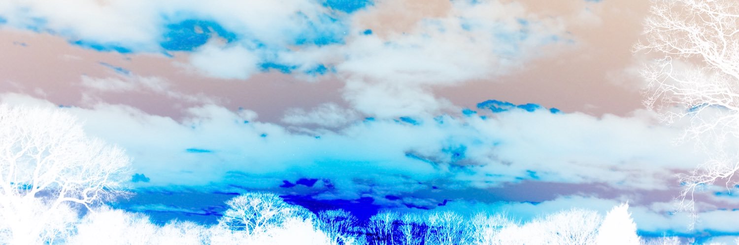 Jodi Thomas 🇵🇸🌱#FreePalestine YNWA banner