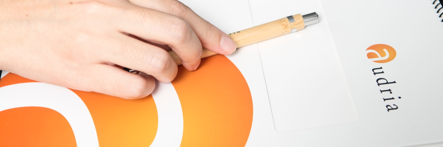 AUDRIA Auditoría y Consultoría banner