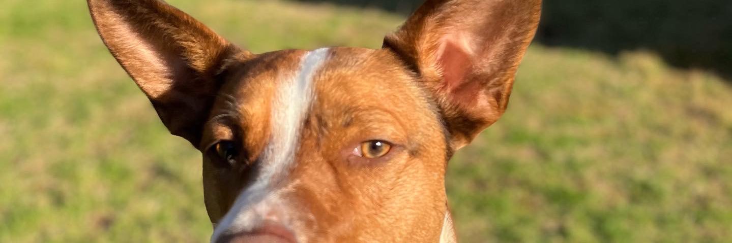 Martiinez94's profile banner image