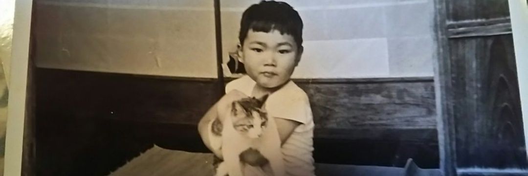 しょ～すけ banner