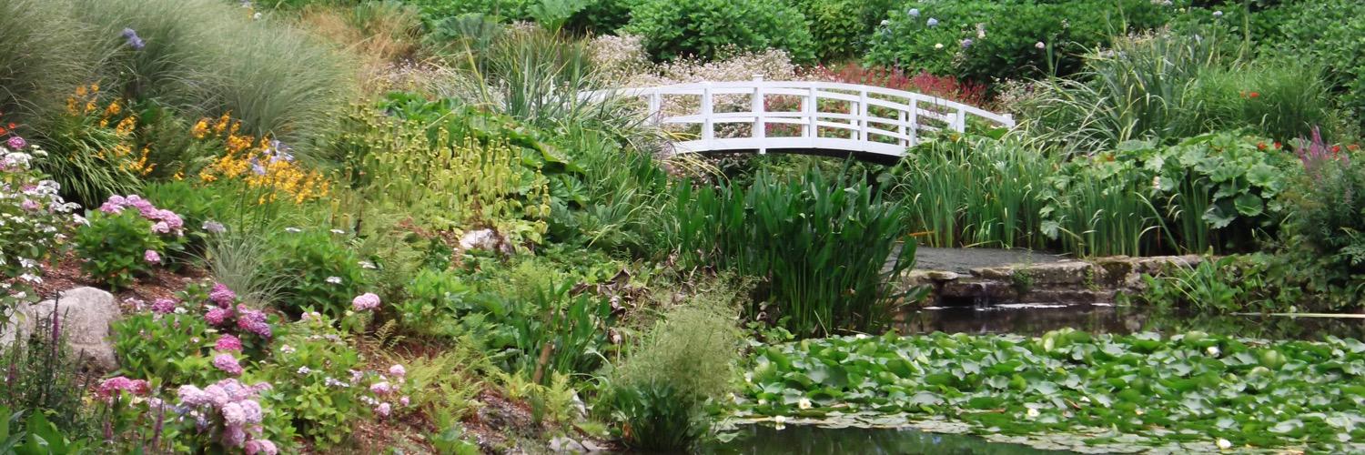 Laura Passmore banner