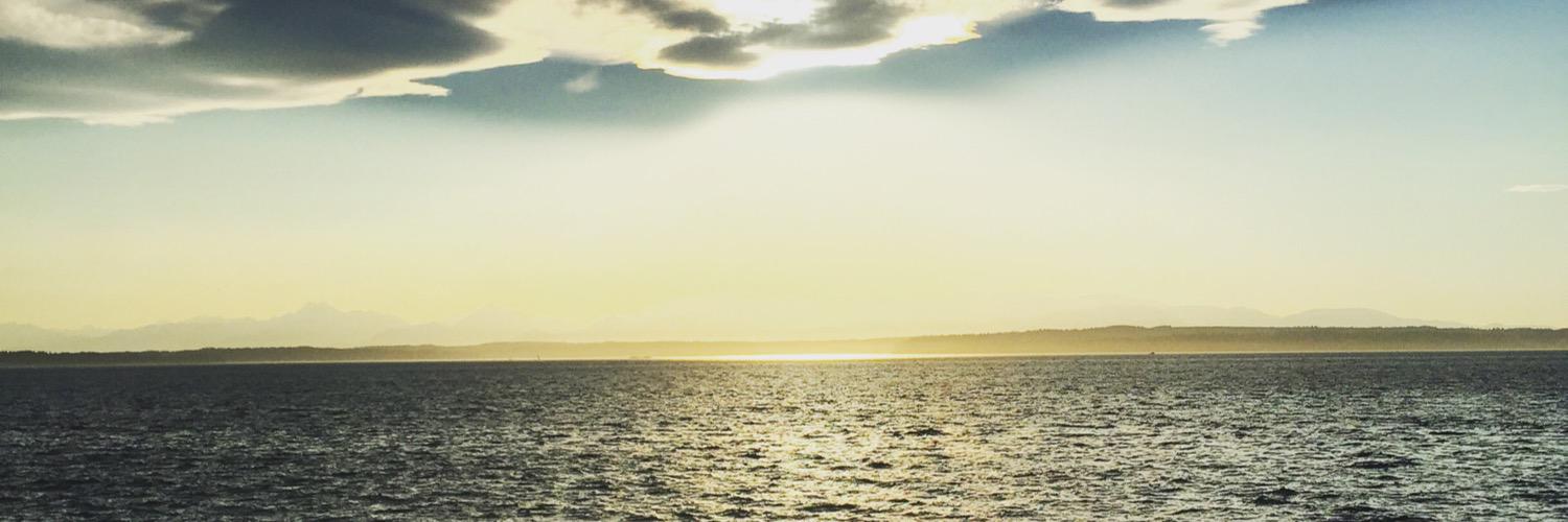 roxiozolins's profile banner image