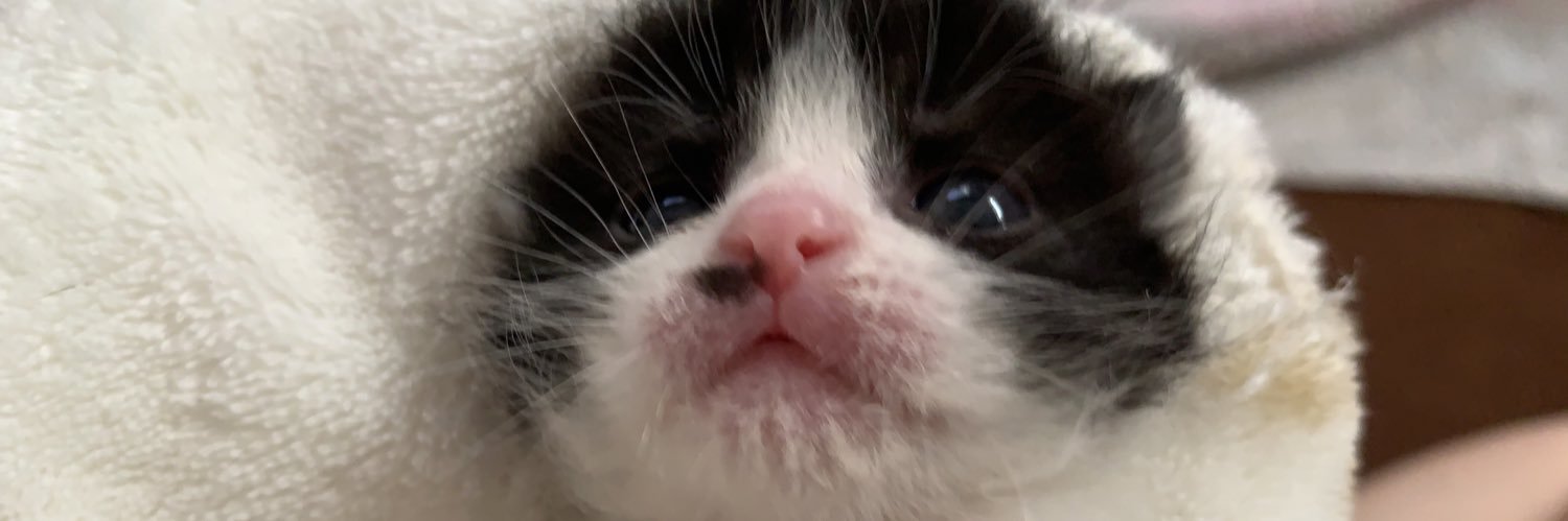 mr_1004's profile banner image