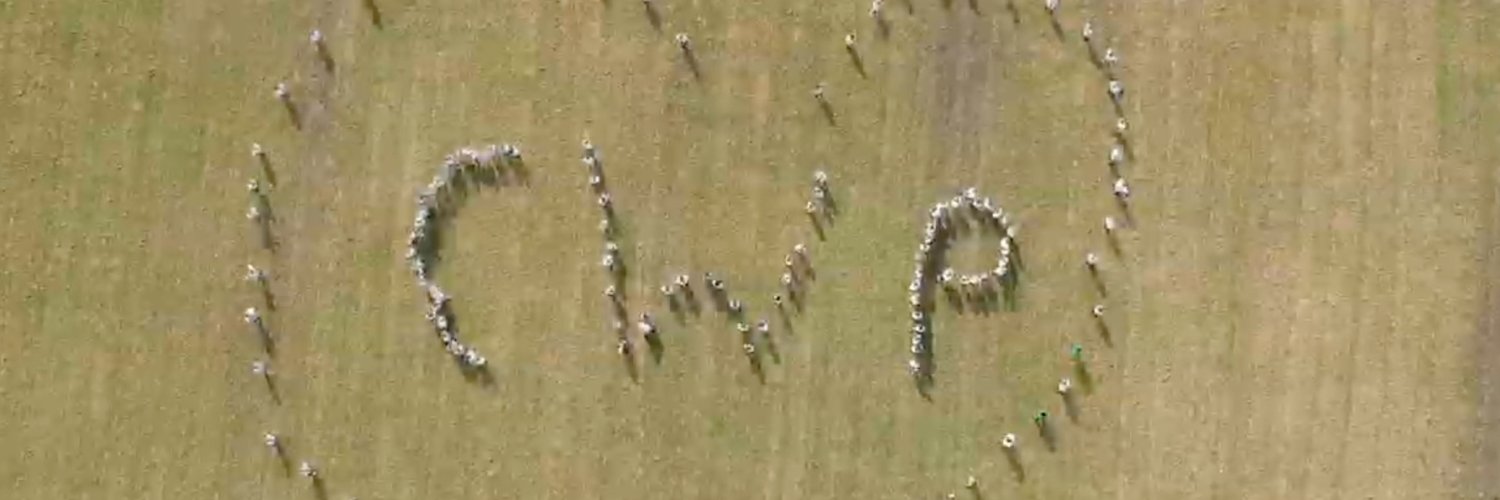 CW Primary School banner