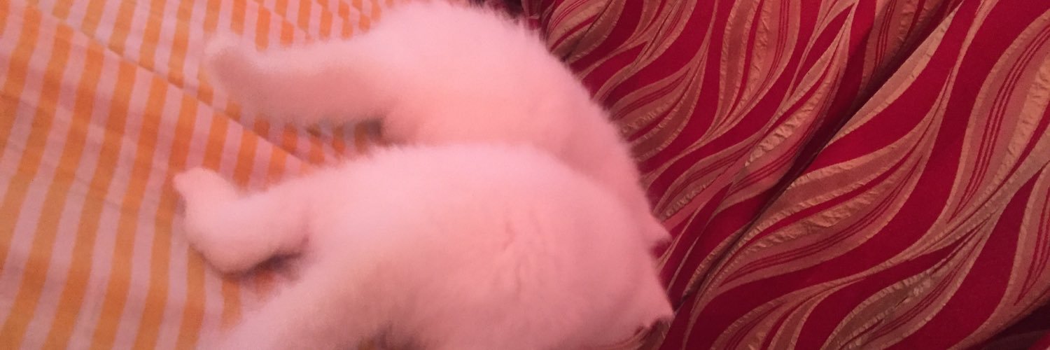 Wodmay's profile banner image