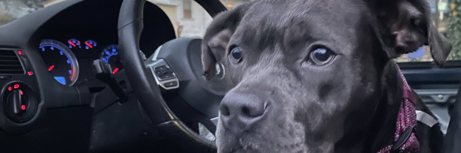 VolkswagenPapi's profile banner image