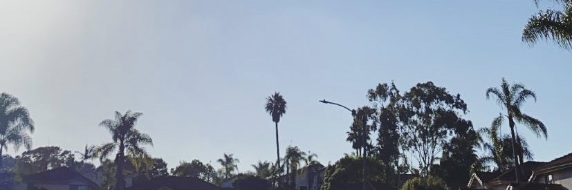 whatmarkosays's profile banner image