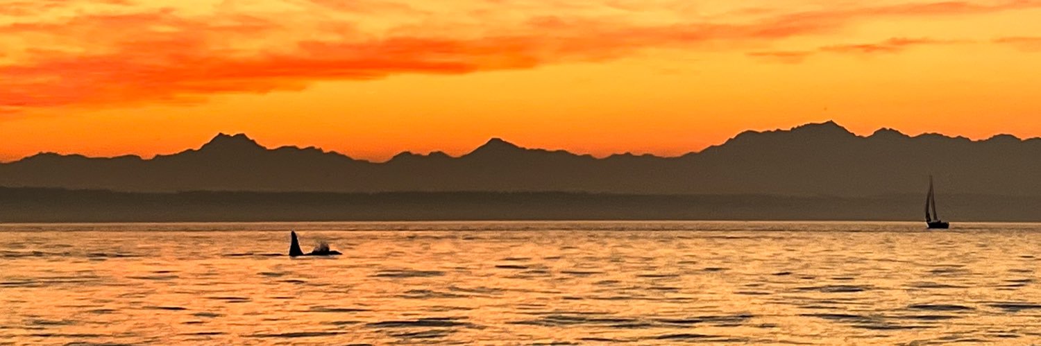 Chase Gunnell banner