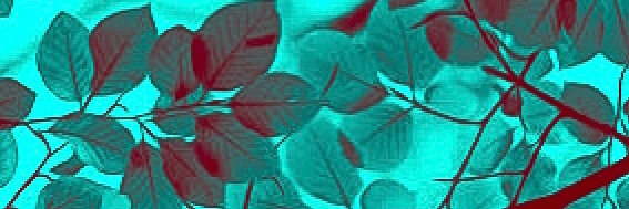 zekev3's profile banner image