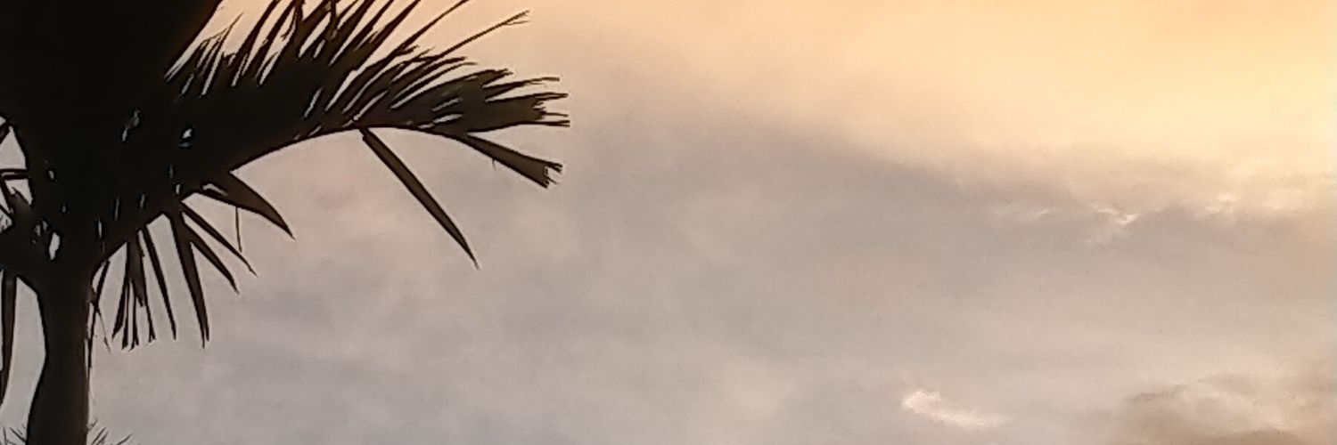 ecipawae's profile banner image