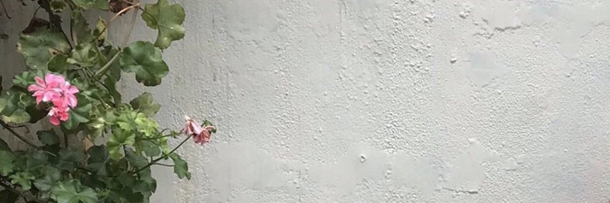 24k0017's profile banner image