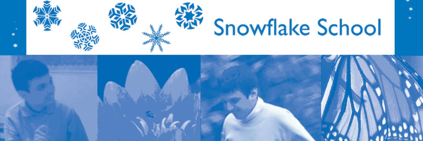 SchoolSnowflake's profile banner image