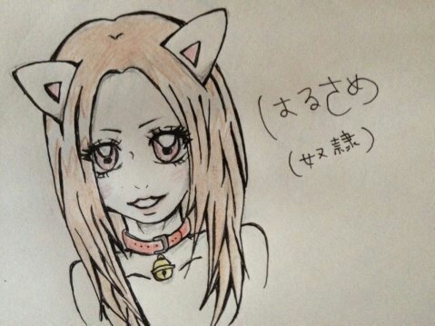 10e32c4636ff409's profile banner image