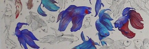 みずいち's banner