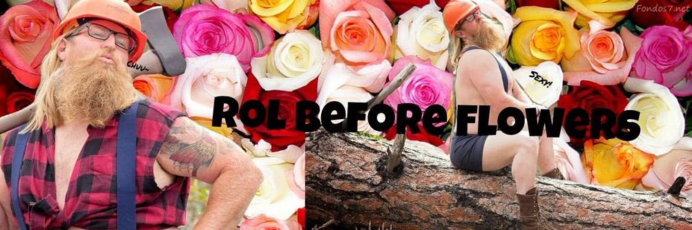 RolBF's profile banner image