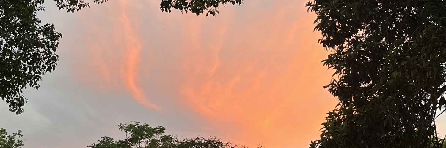 dniworld's profile banner image