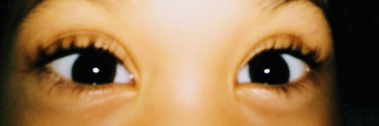 UFPe Ana Julia Lins banner