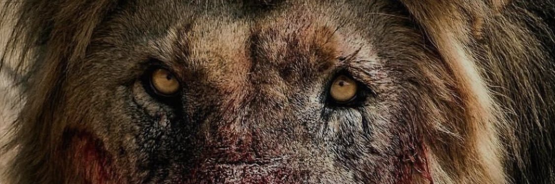 j2sawc's profile banner image