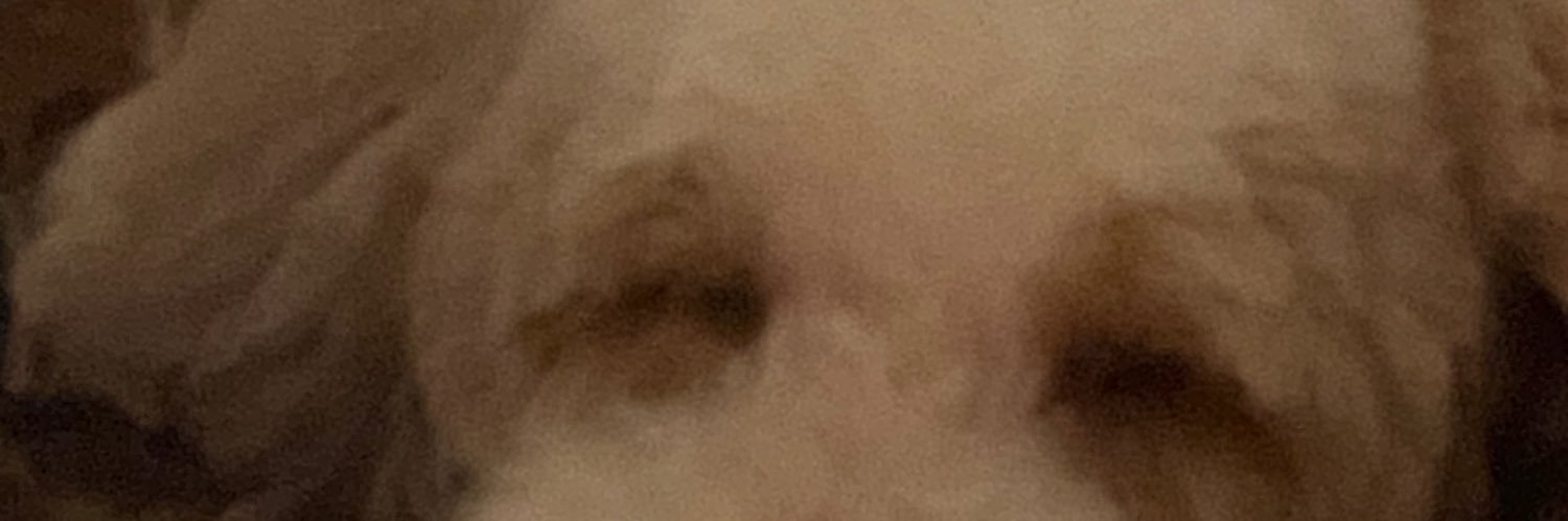 Robert Hopkins banner