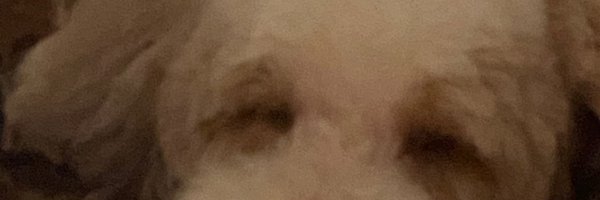 ARAdultImmDoc Profile Banner
