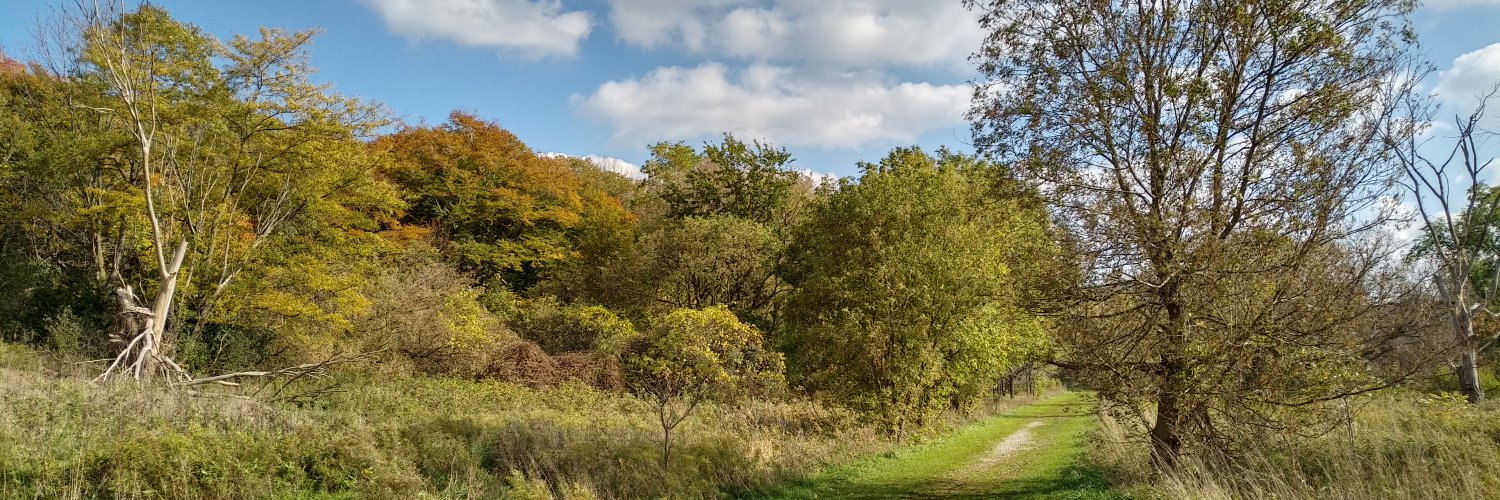 Lowell Williamson 🔽 banner