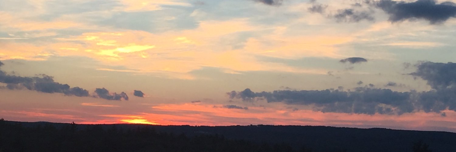 eperlow's profile banner image