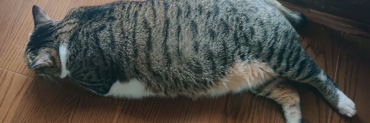 HyunaHina's profile banner image