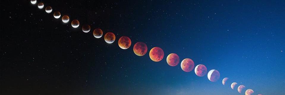 Tonyogro's profile banner image