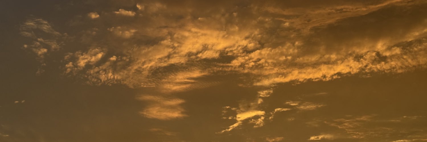 Carla Cruz Zambrano banner