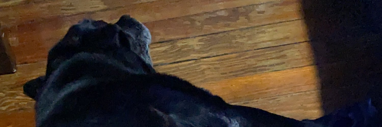 clau999ro's profile banner image